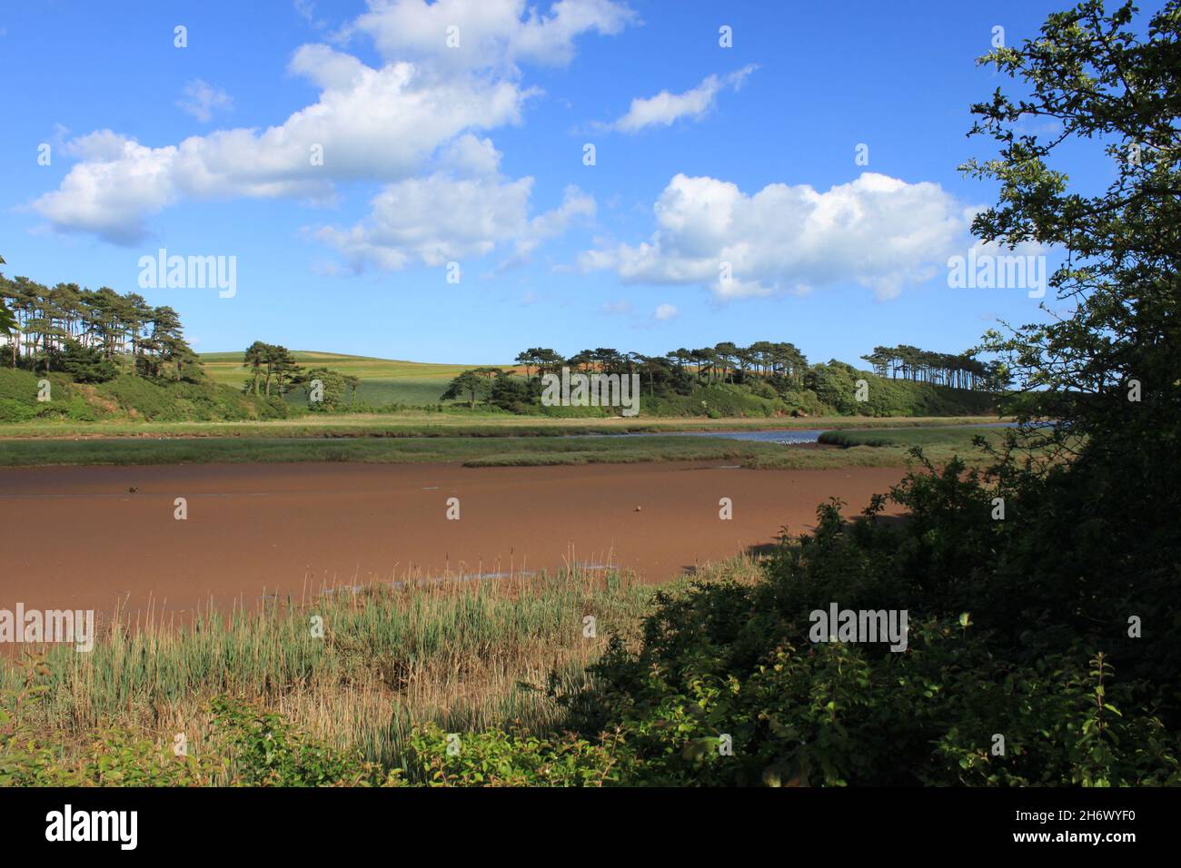 River Otter salt marsh. Budleigh Salterton. The England south west