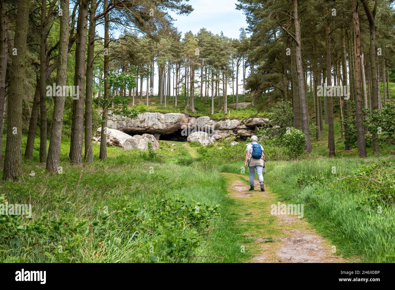 St Cuthbert's cave (St Cuthber's way) where the monk and followers from Holy Isle hid from the Viking invaders. A hiker approaches the cave. Stock Photo