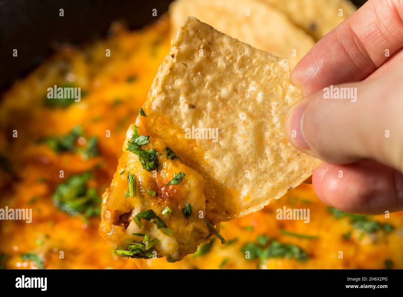 Homemade Mexican Chorizo Queso Oaxaca Dip with Tortilla Chips Stock