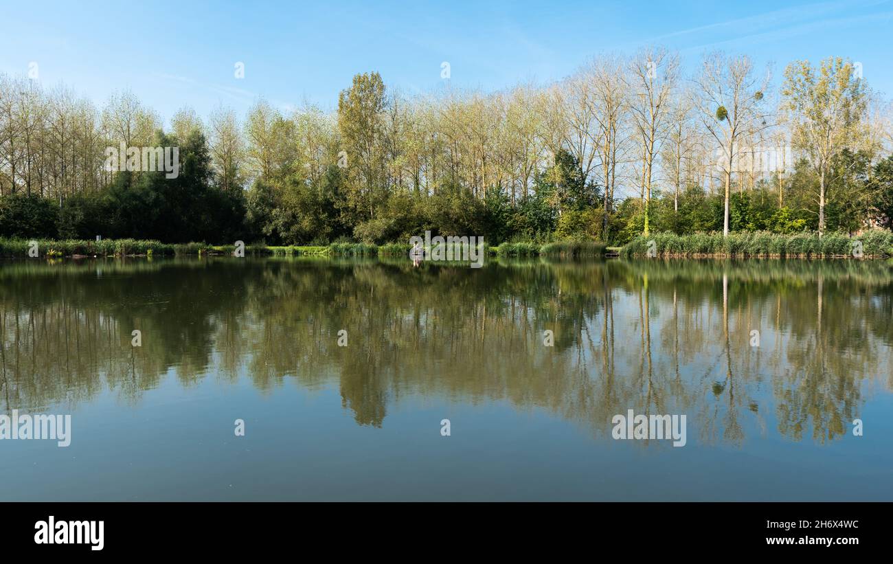 Trees and plants reflecting in a water pond around Leuven Stock Photo