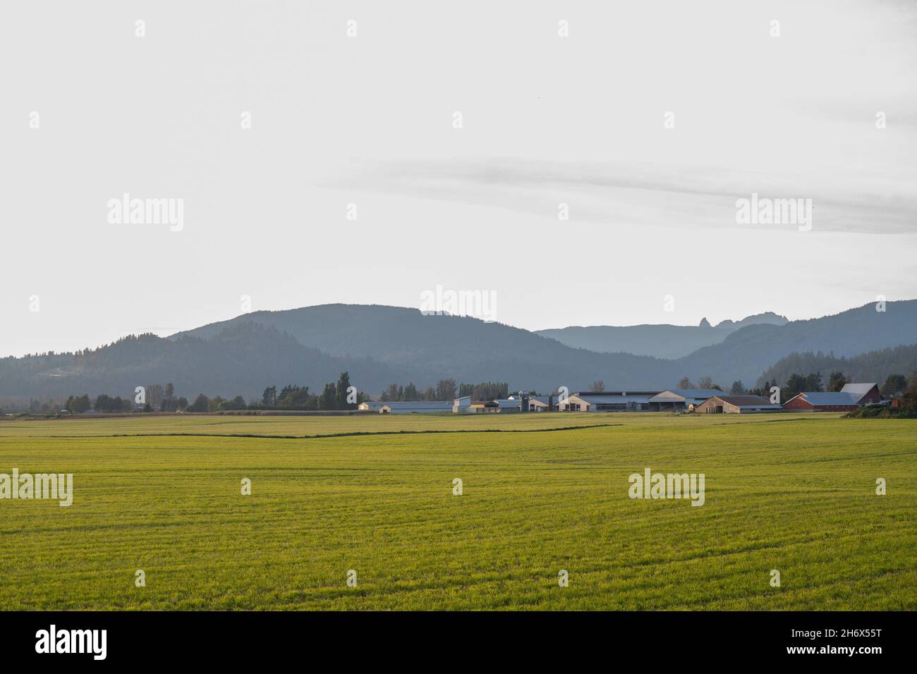 Farmlands in the Sumas prairie close to the district of Yarrow in the city of Chilliwack in British Columbia, Canada. Stock Photo