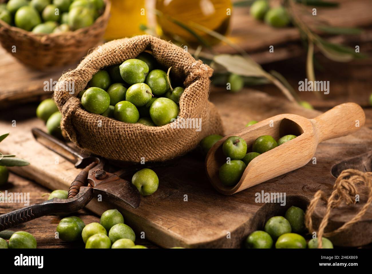 Extra virgin olive oil with fresh green olives close up Stock Photo - Alamy