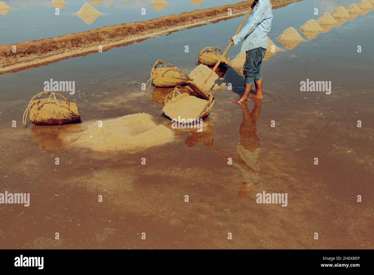 A person harvesting salt traditionally in the famous salt fields in Kampot, Cambodia Stock Photo
