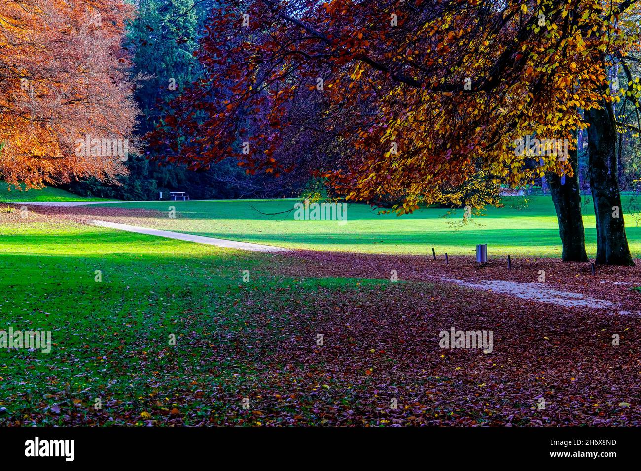 Wenkenhof Park in the Fall, Riehen, Basel, Switzerland. Stock Photo