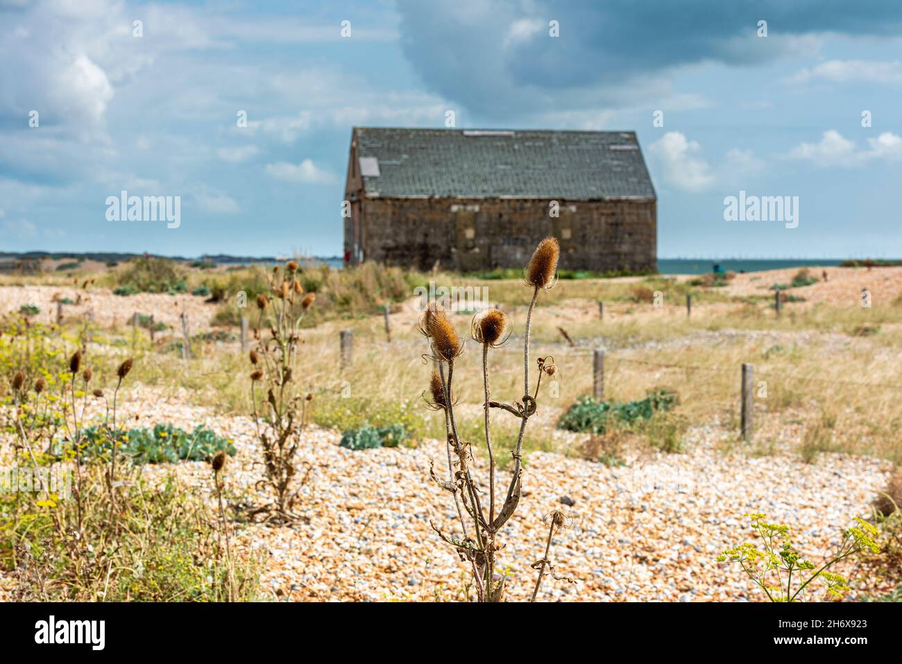 Rye Harbour Nature reserve and the old lifeboat house in East Sussex, England. Stock Photo