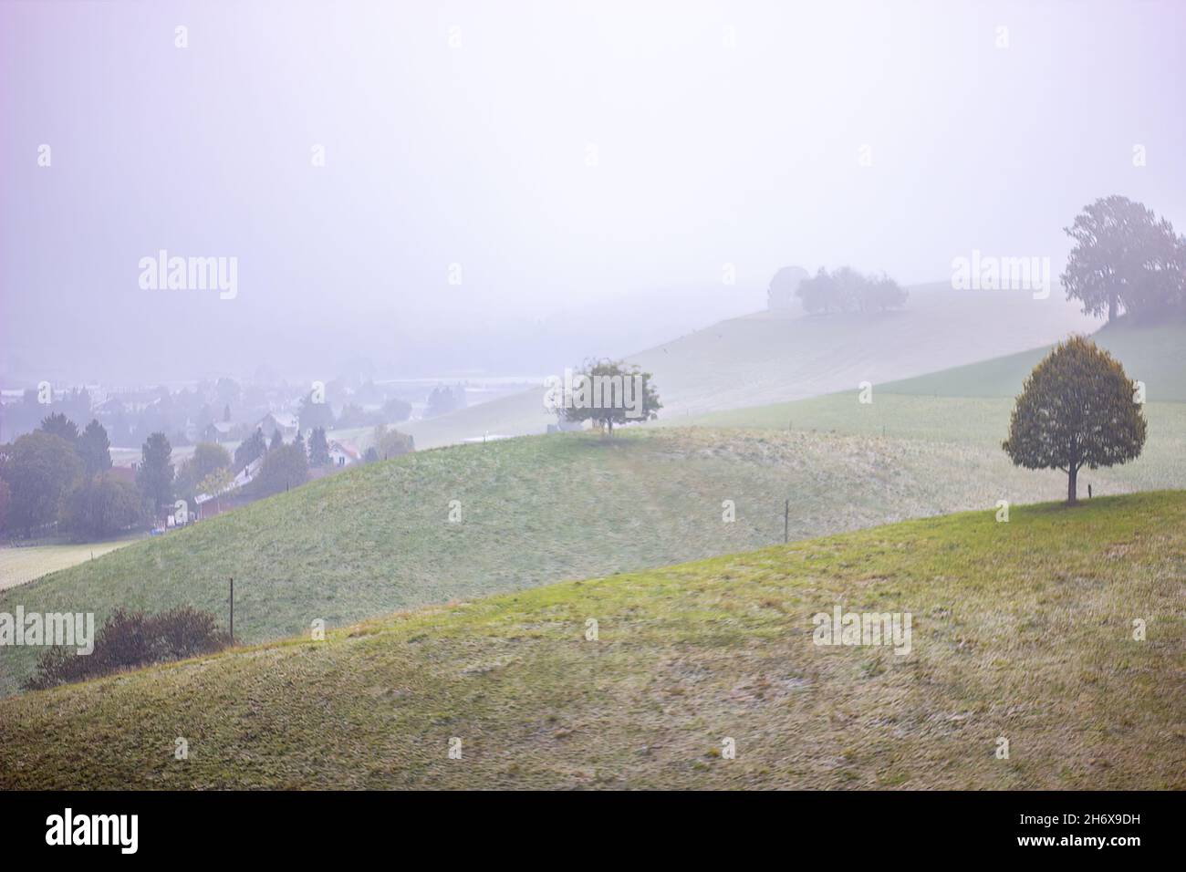 Beautiful scene of trees on hills on a foggy day Stock Photo - Alamy