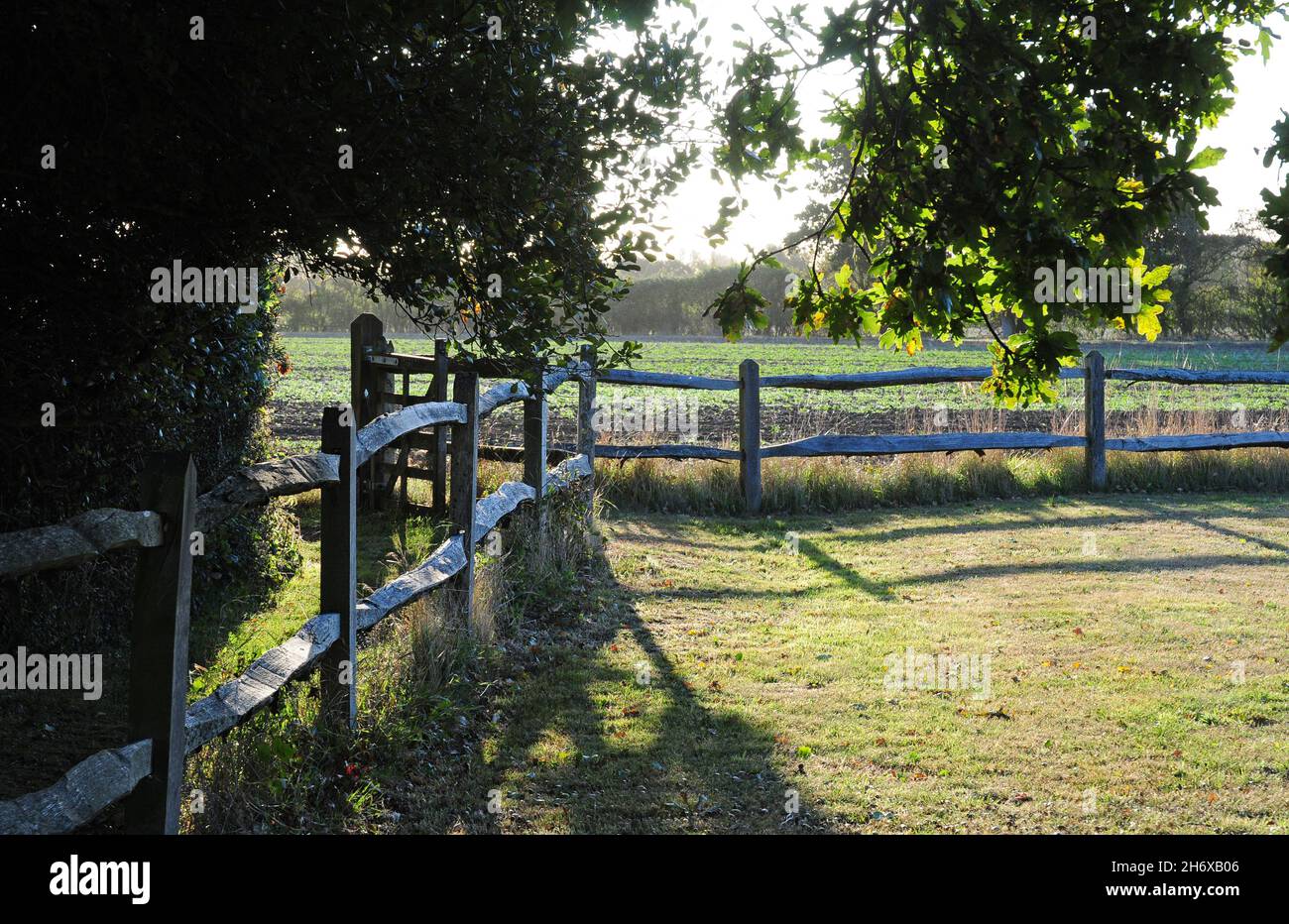 footpath and post and rail fence on the Coastal Plain.  Earl morning. Stock Photo