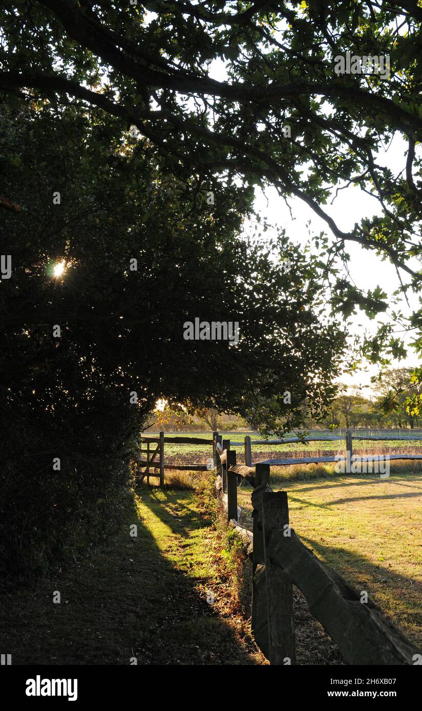 Footpath and post and rail fence on the coastal Plain, Early morning. Stock Photo