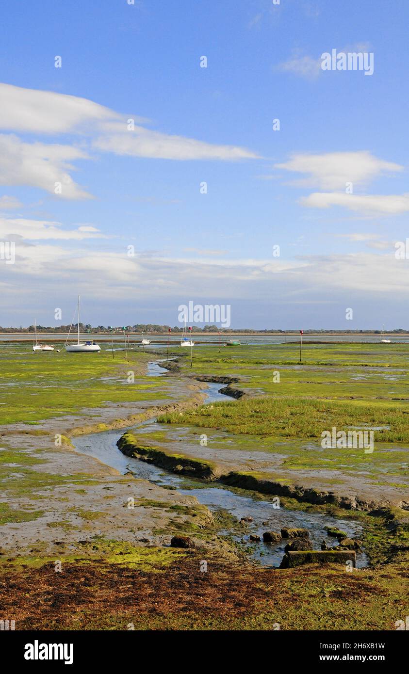 Channel at low tide, Prinsted, West Sussex. Stock Photo