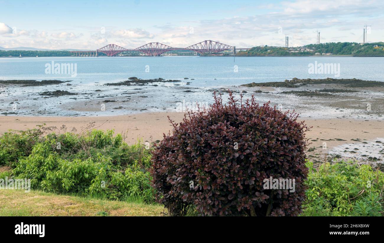 View over the Firth of Forth to the Forth Rail and Road Bridges, from