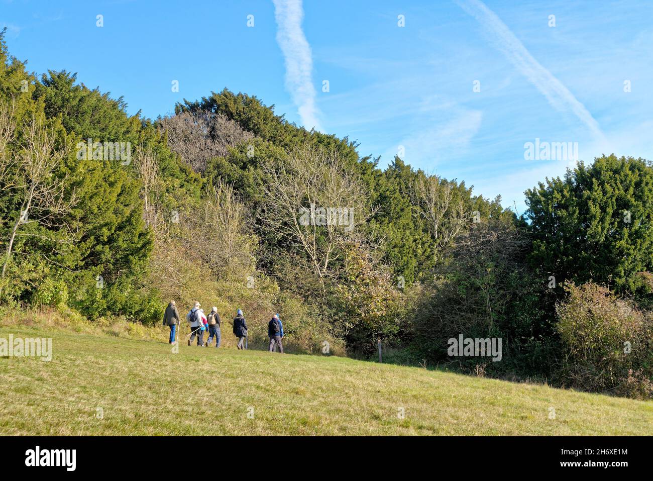 An elderly group of ramblers on the North Downs Way path at Newlands Corner in the Surrey Hills on a sunny autumn day near Guildford England UK Stock Photo