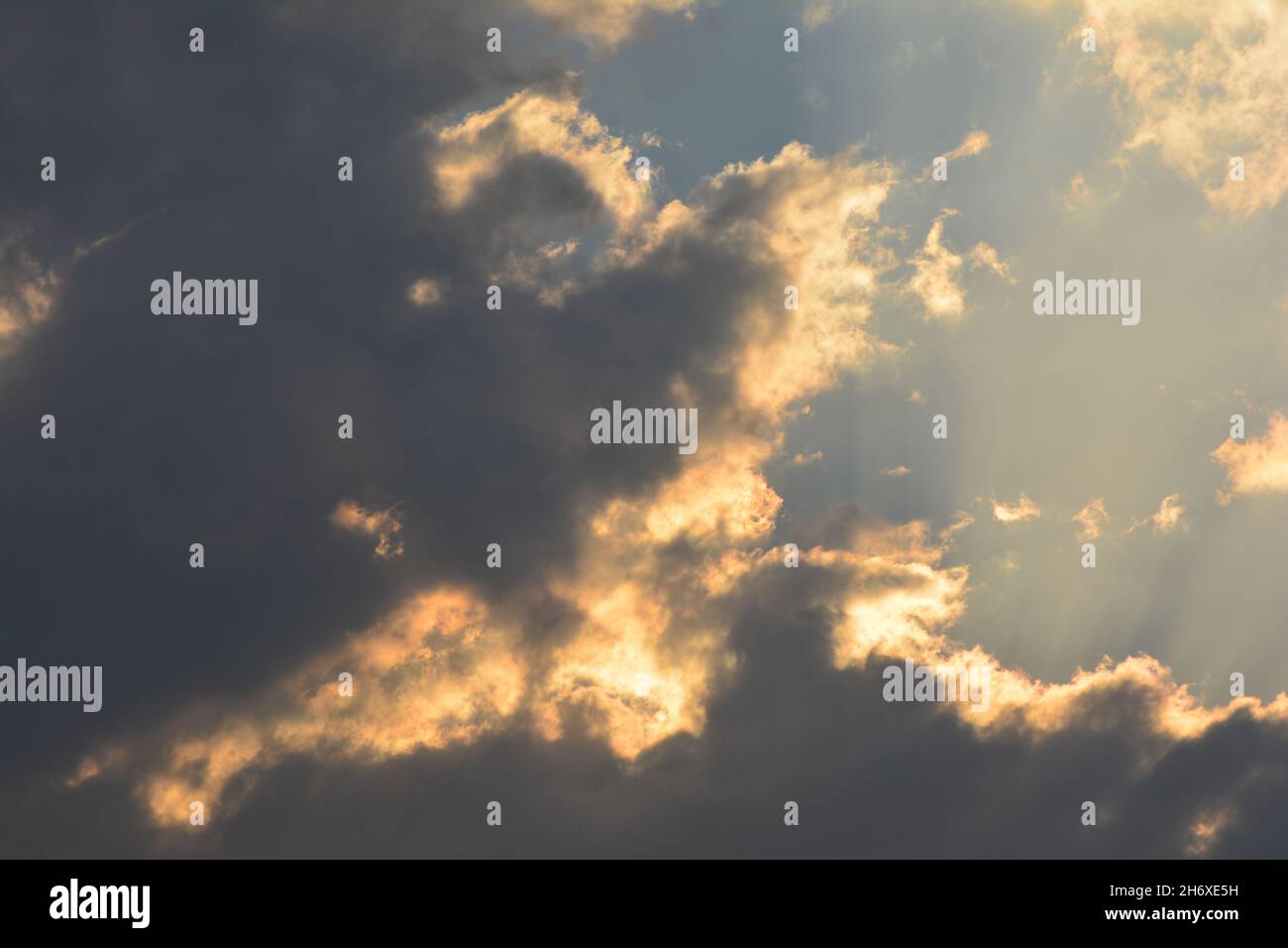 Sunlight filtered hi-res stock photography and images - Alamy
