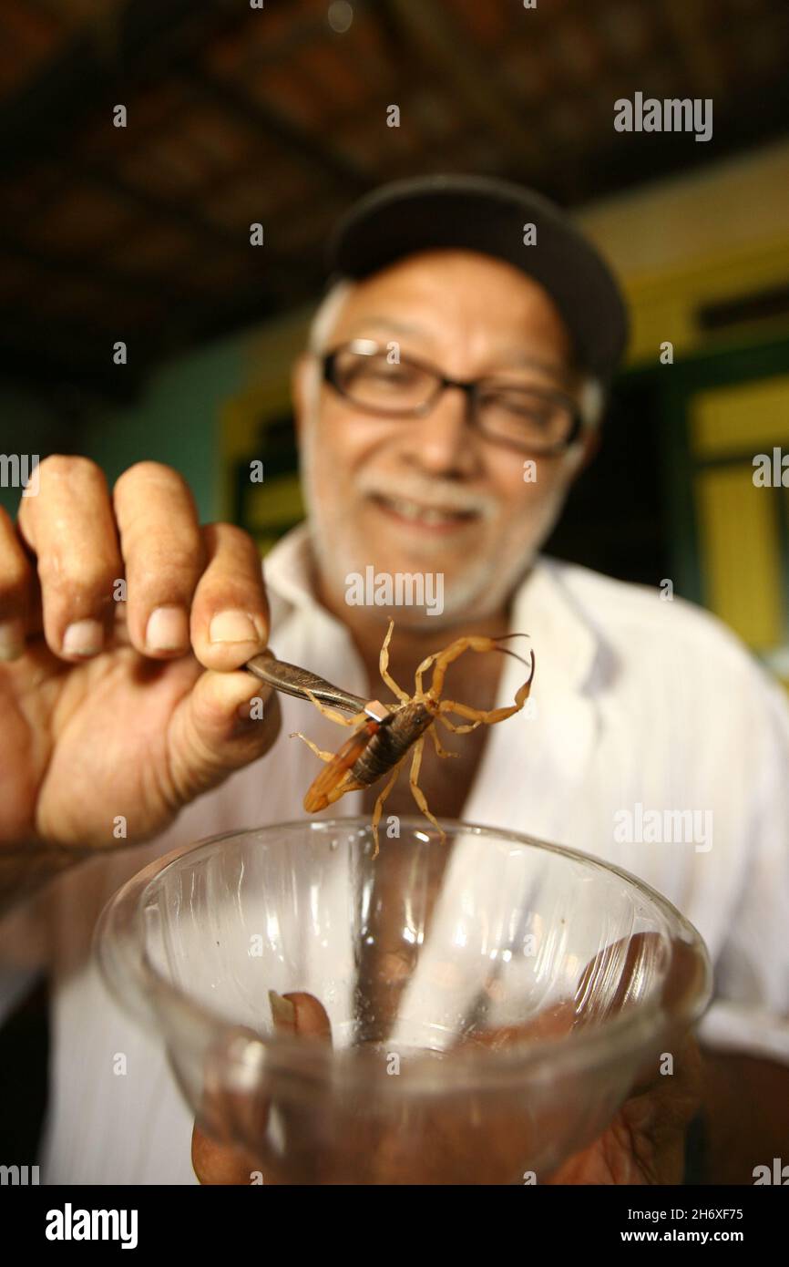 itabuna, bahia, brazil - june 16, 2011: Person holding a scorpion insect finding in a residence in Itabuna city. Stock Photo