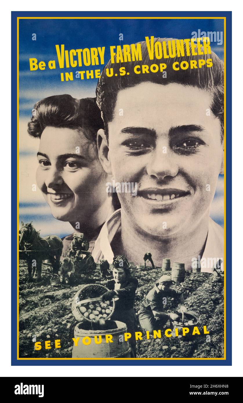 WW2 USA Food production recruitment appeal propaganda poster 'Be a victory farm volunteer in the U.S. Crop Corps'--See your principal Date Created/Published: 1943. (poster) : color. Head-and-shoulders of a boy & a girl superimposed above youths picking potatoes. America USA Appeal Propaganda food Production Poster during World War II Stock Photo