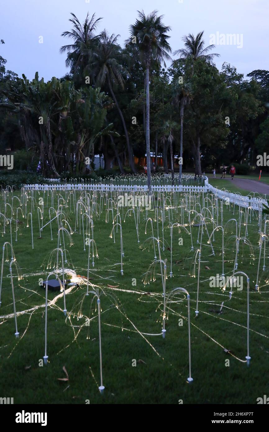 Bruce Munro Tropical Light installation in George Brown Darwin Botanic Gardens, Darwin, Northern Territory, Australia Stock Photo