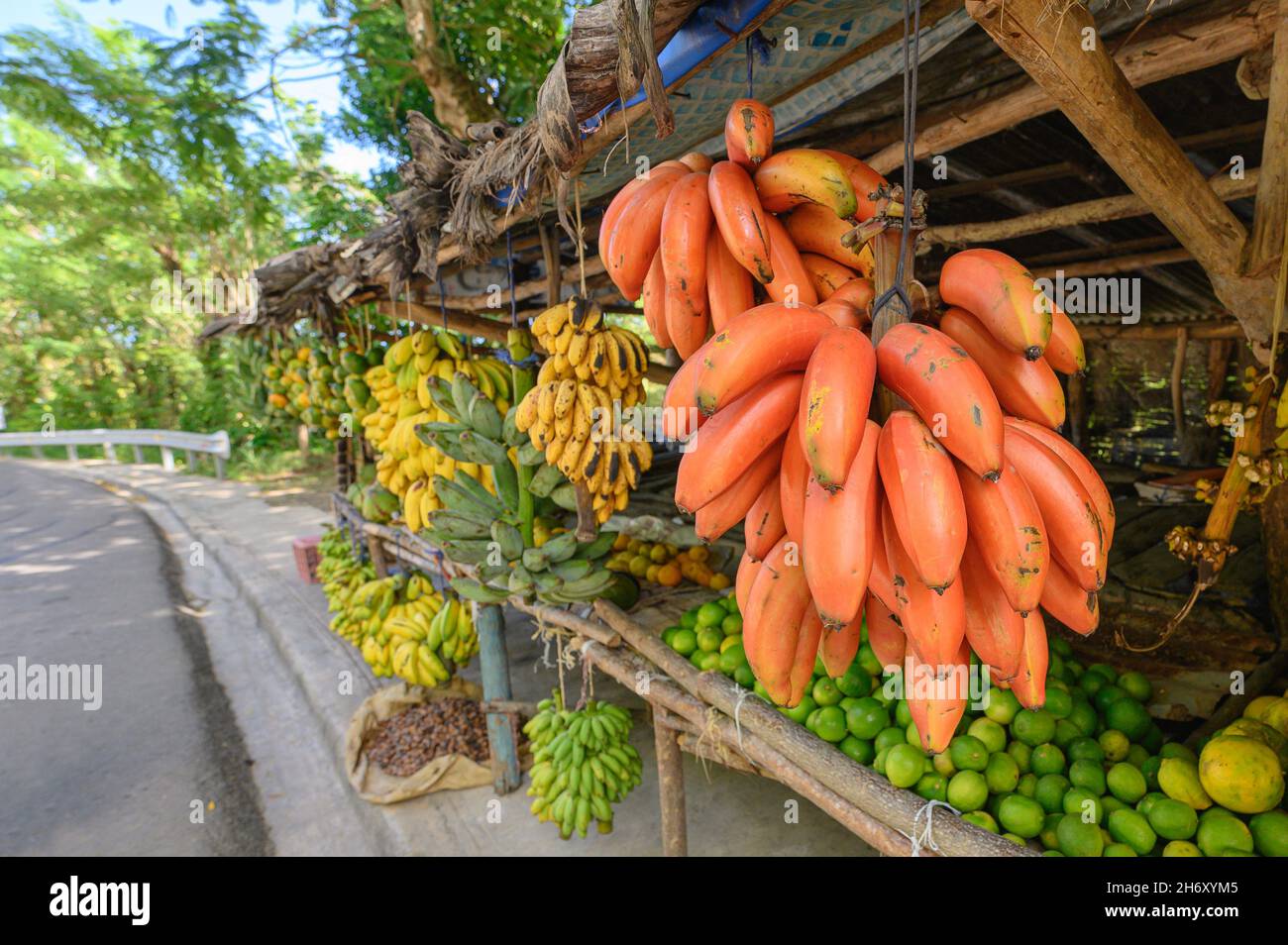 Roadside fruit market. Some tropical fruits wild orange, limes, bananas. Different fruits on tree. Exotic fruits are outdoor. Photo show variety types Stock Photo