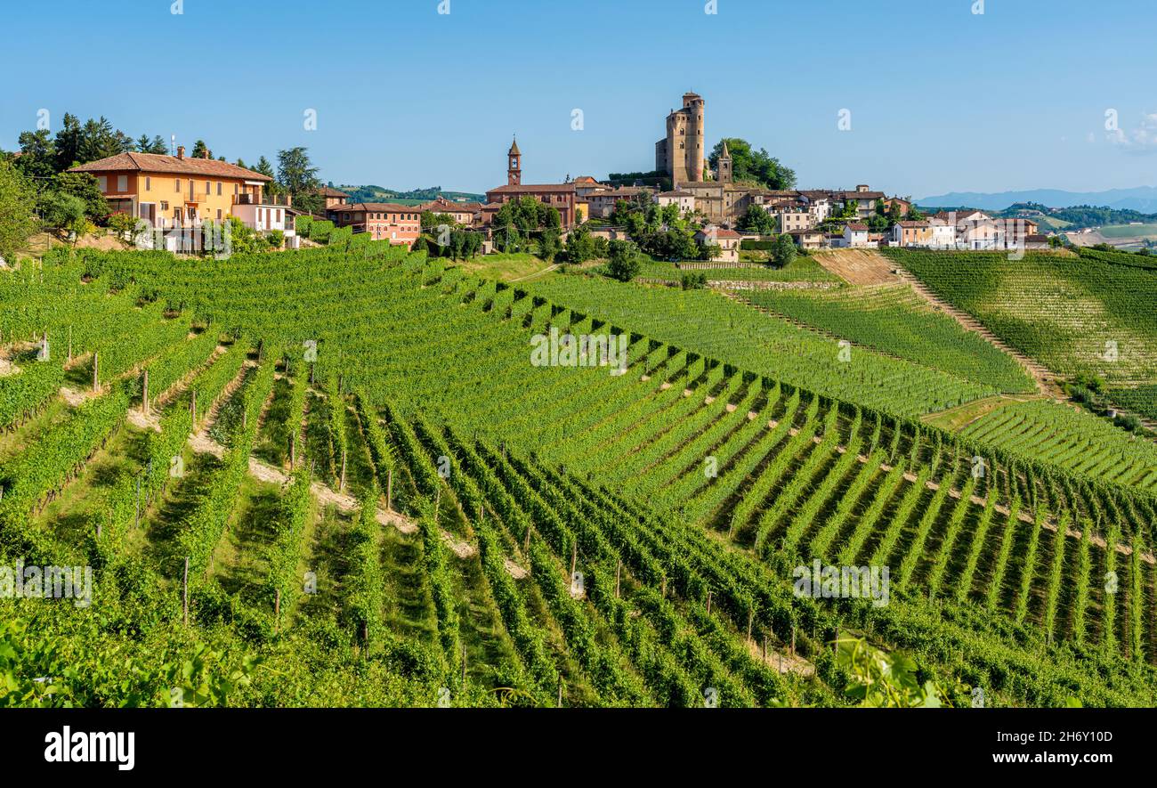 The Beautiful Village Of Serralunga D Alba And Its Vineyards In The The Beautiful Village Of Serralunga D Alba And Its Vineyards In The