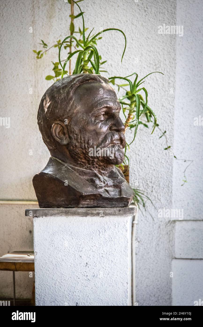 07 19 2019 Tbilisi Georgia   Prince Ilia Chavchavadze- Georgian public figure journalist and poet - bust on pedestal against stucco wall and plant. Stock Photo