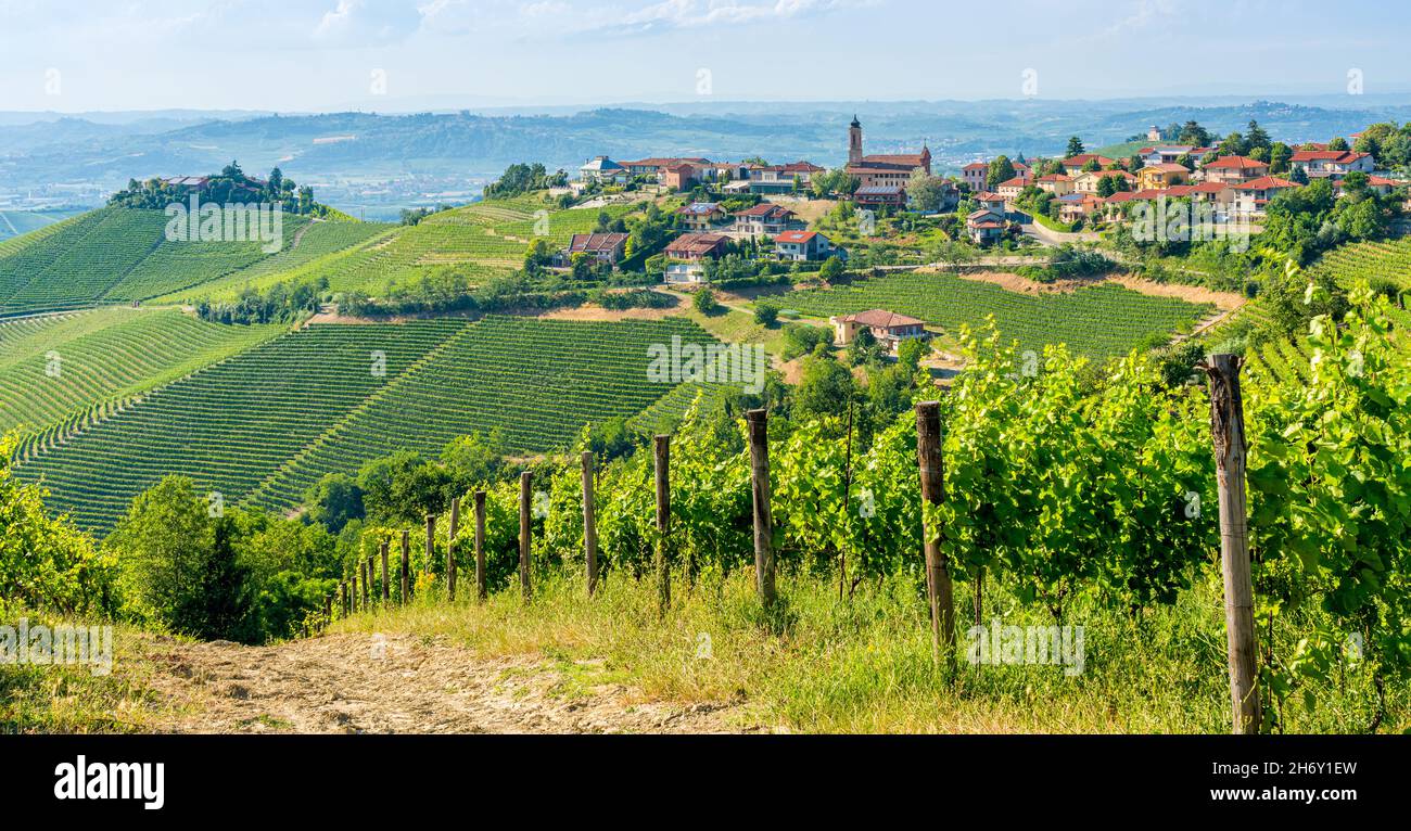 Beautiful hills and vineyards surrounding Treiso, in the Langhe region ...