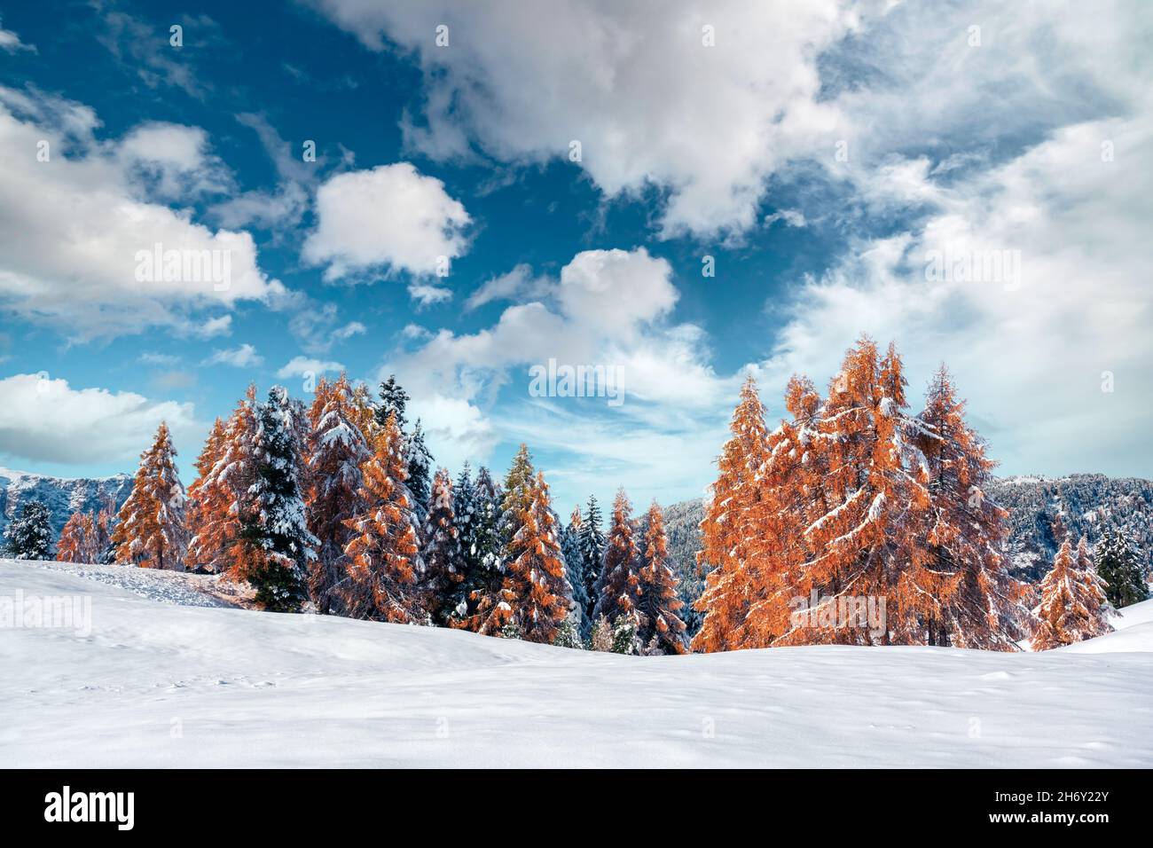 Picturesque landscape with orange larches covered by first snow on meadow Alpe di Siusi, Seiser Alm, Dolomites, Italy. Snowy mountains peaks on background Stock Photo