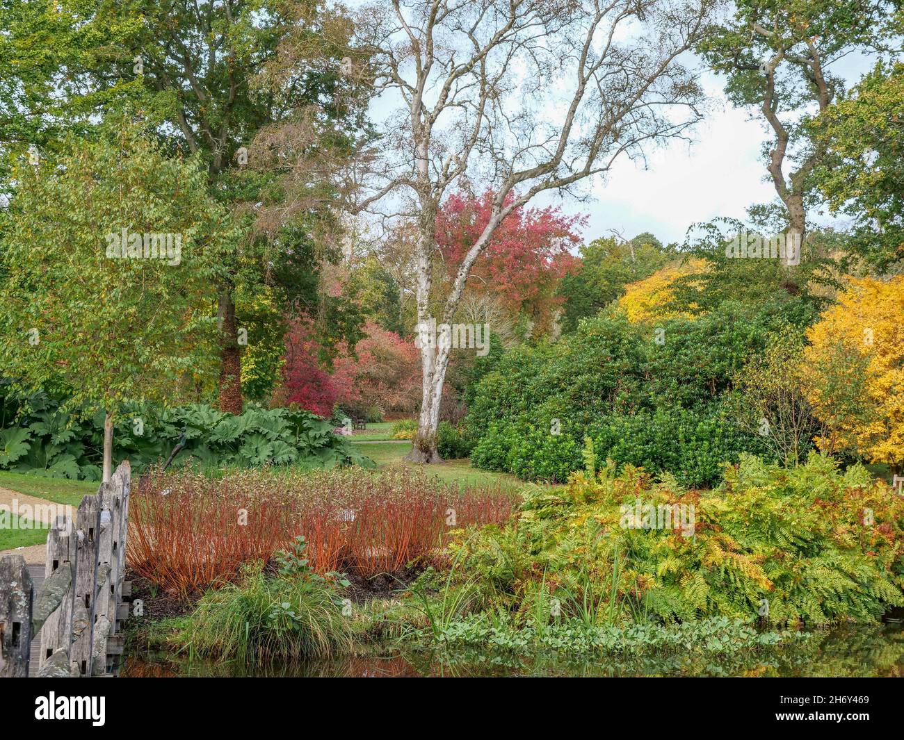 Savill Gardens Windsor Great Park Egham Surrey Stock Photo