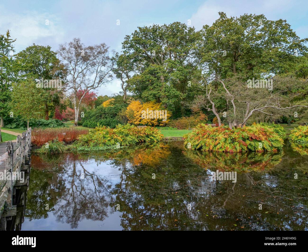 Savill Gardens Windsor Great Park Egham Surrey Stock Photo