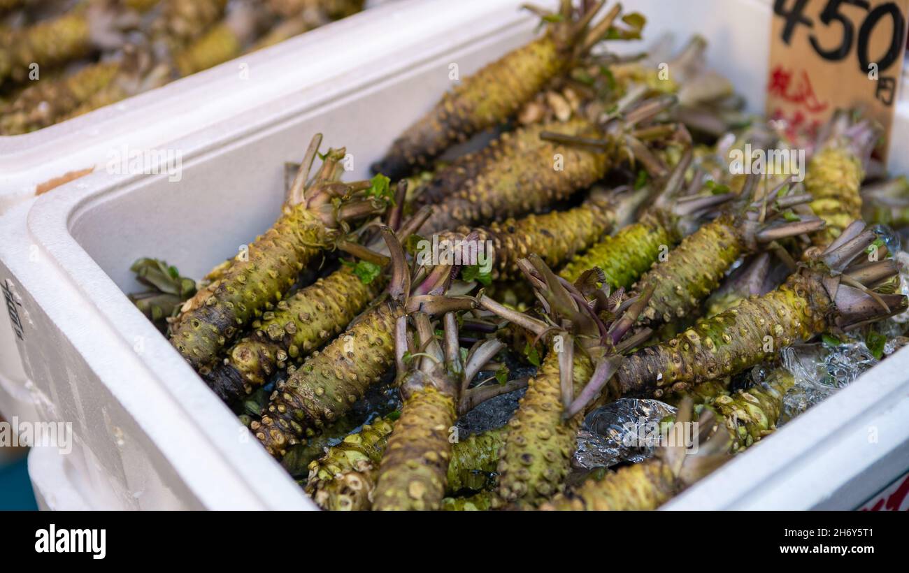 Merchants sale wasabi in famous Tsukiji fish market. Area around the biggest wholesale fish and