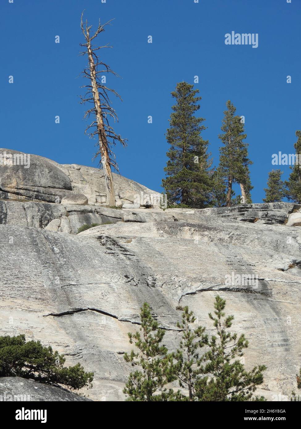 Huge rock mountain with trees on a sunny day Stock Photo - Alamy