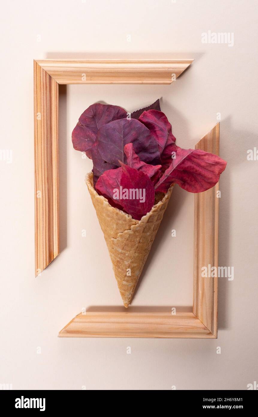 ice cream from colored autumn leaves in trendy color on a beige background. minimalistic concept. Stock Photo