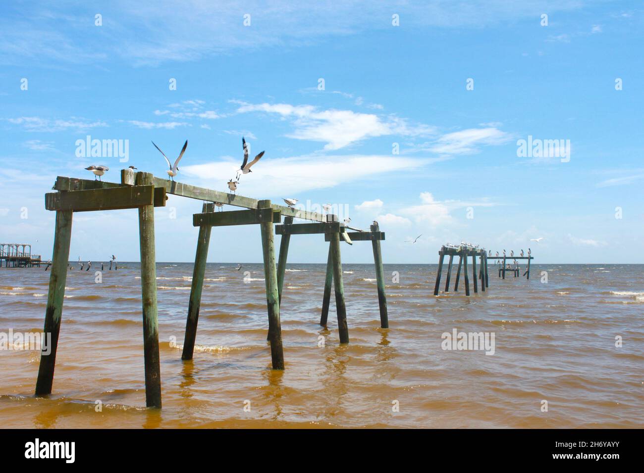 Seagulls on Wrecked Pier out in the Gulf of Mexico Stock Photo
