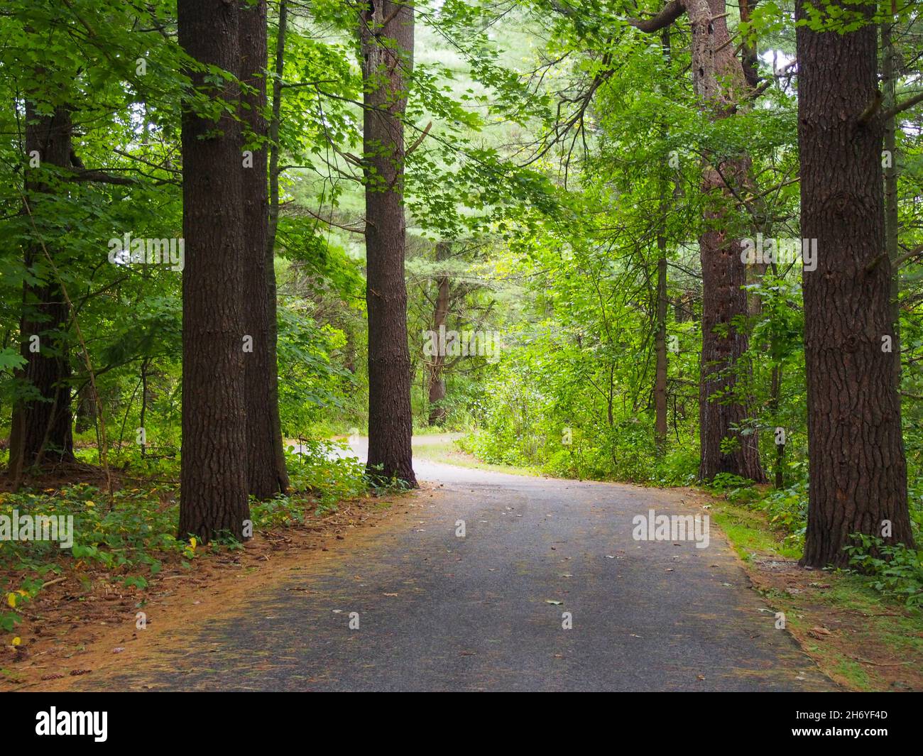 Walking path at Saratoga Spa State Park in Saratoga Springs, New York, USA, 2021 © Katharine Andriotis Stock Photo