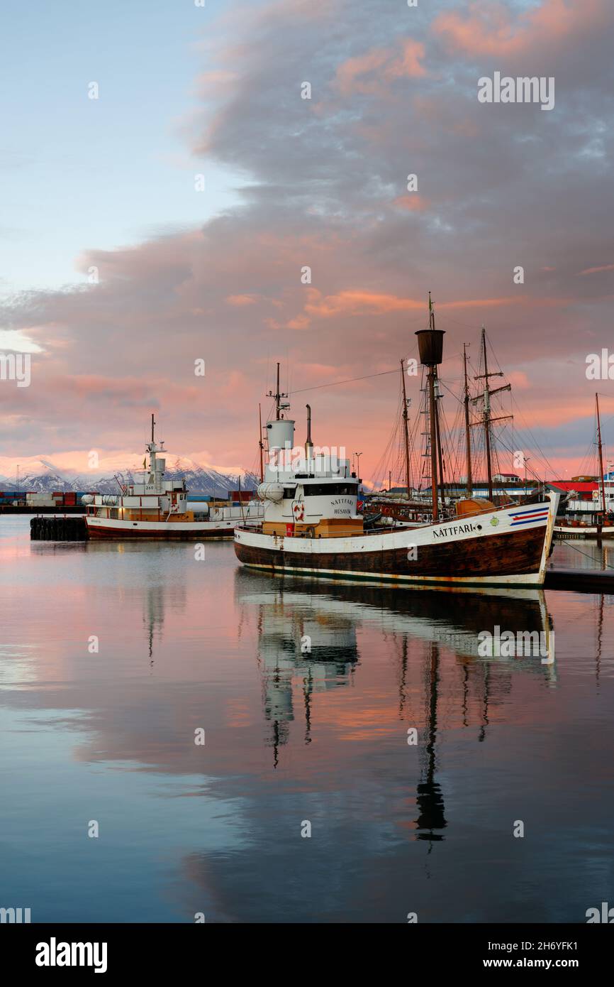 Red morning light at the harbor of the North Icelandic town of Husavik, ships reflected in the water, in the sky clouds in red hues, mountain range wi Stock Photo