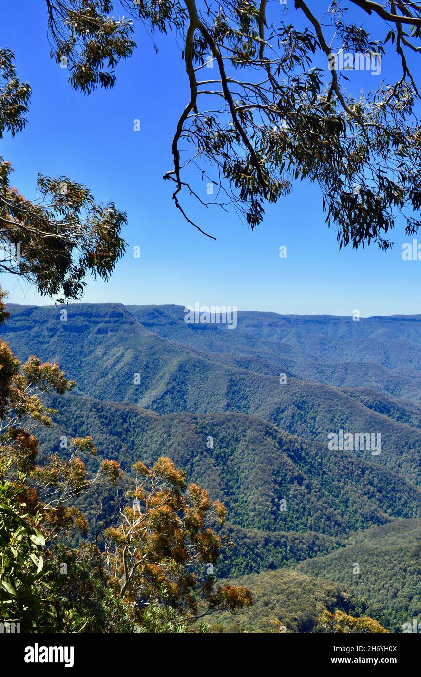 A view of the New England Tablelands from Point Lookout, NSW Stock Photo