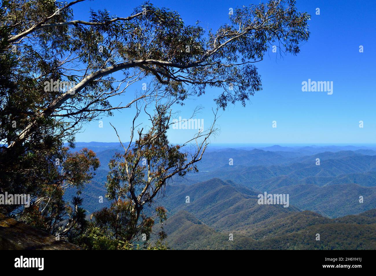 A view of the New England Tablelands from Point Lookout, NSW Stock Photo