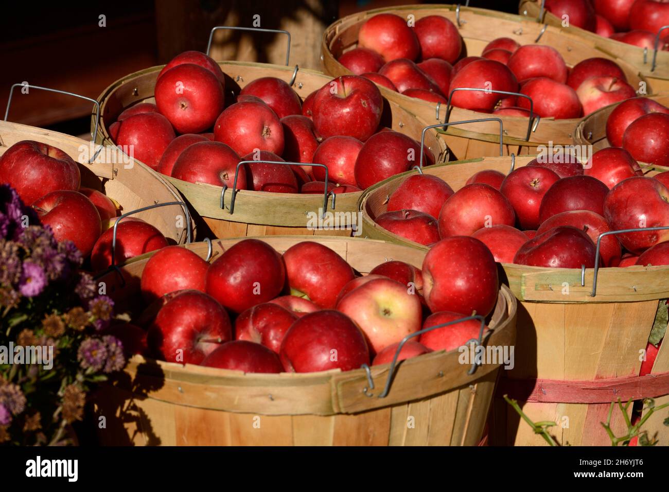 Roadside produce stand hires stock photography and images Alamy