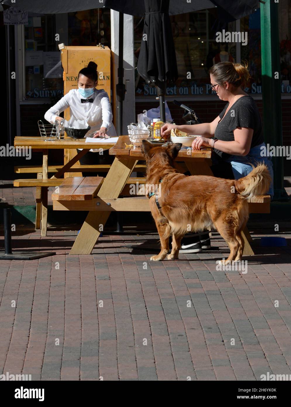 A woman enjoys lunch at a restaurant while sitting alone at an outdoor table with her pet dog at her side. The waitress is wearing a face mask. Stock Photo