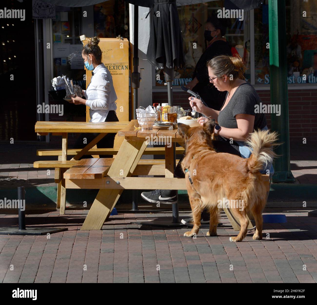 A woman enjoys lunch at a restaurant while sitting alone at an outdoor table with her pet dog at her side. The waitress is wearing a face mask. Stock Photo