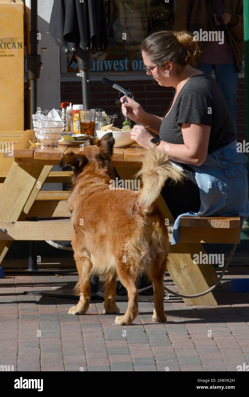 A woman enjoys lunch at a restaurant while sitting alone at an outdoor table with her pet dog at her side. The waitress is wearing a face mask. Stock Photo