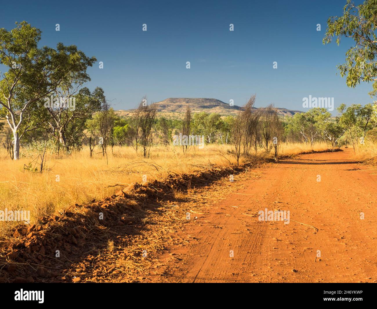 Mornington Road crossing savannah near Mount House, Kimberley, Western Australia Stock Photo