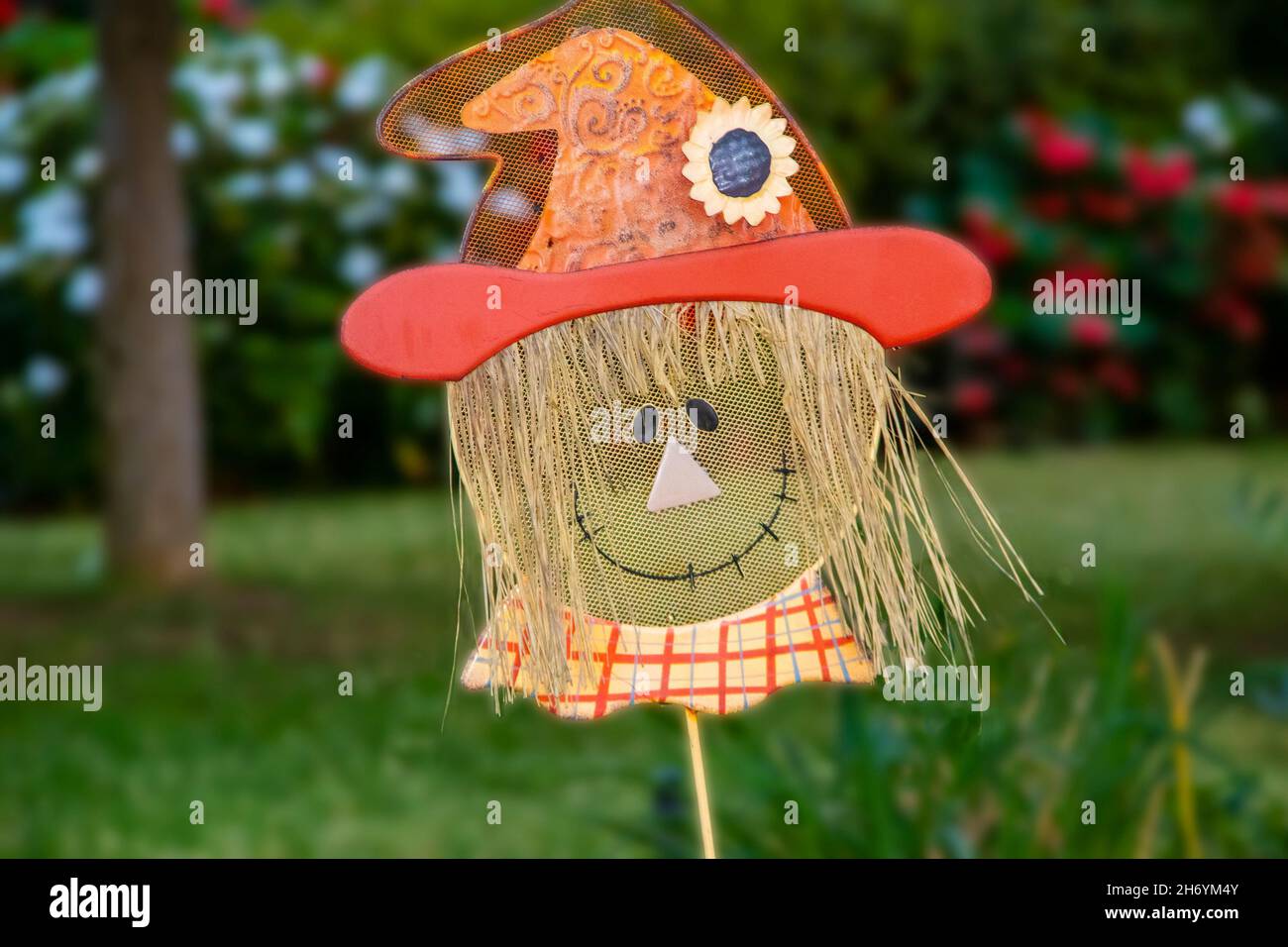 Witch decor in residential front yard with blurred trees and foliage in ...