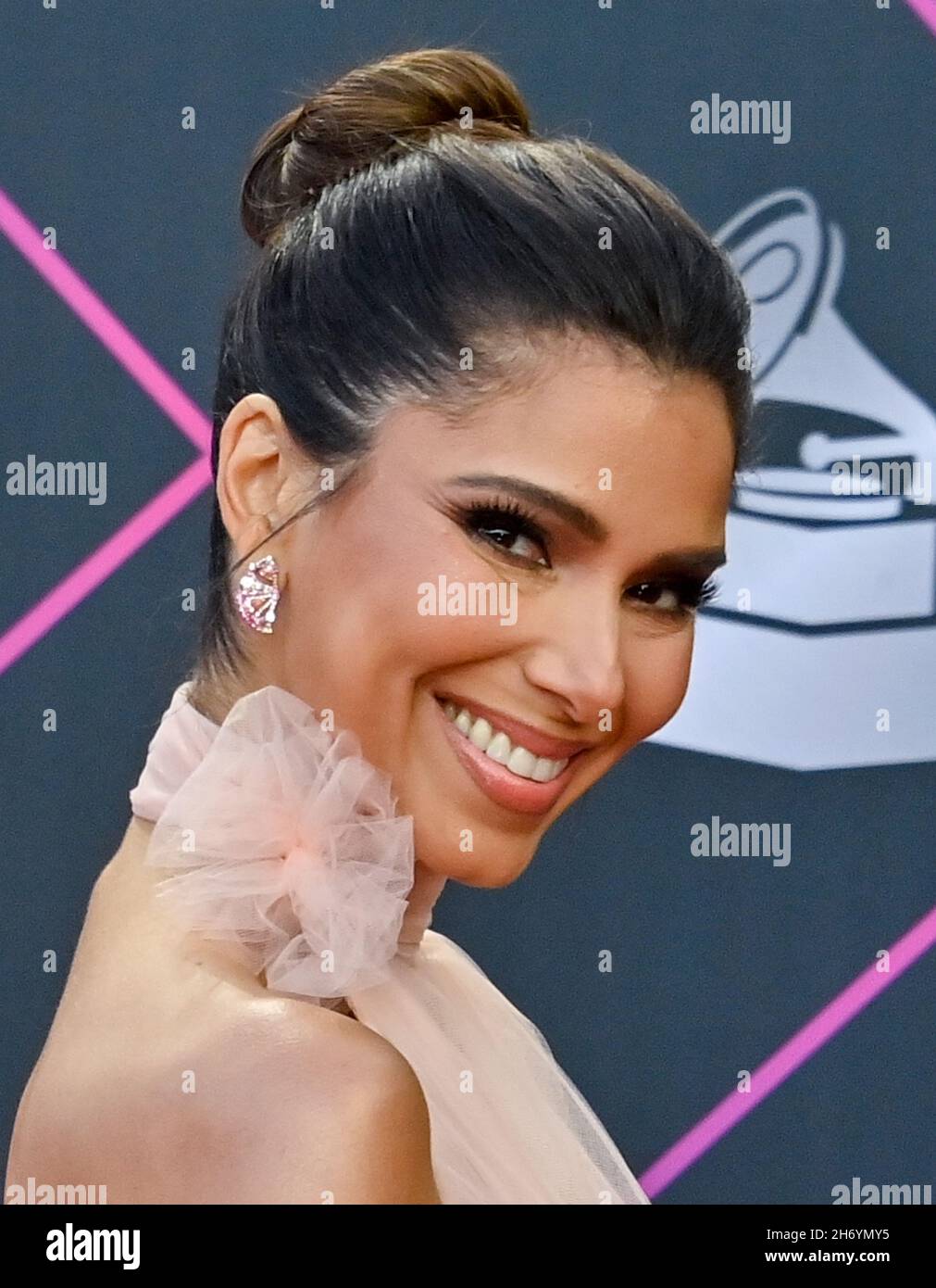 Roselyn Snchez Nevada, United States. 18th Nov, 2021. Roselyn Sánchez arrives for the