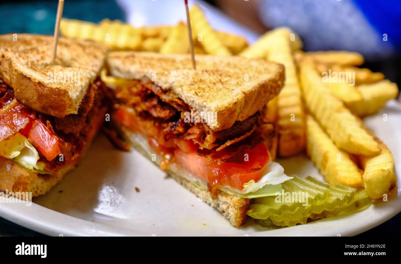 BLT and French Fries Stock Photo
