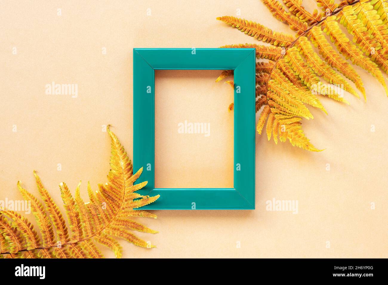 Green picture frame and yellow fern leaves on beige background. Top view, flat lay. Mock up. Stock Photo
