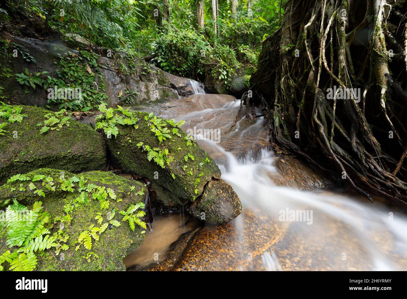 Abundant flow of water hires stock photography and images Alamy
