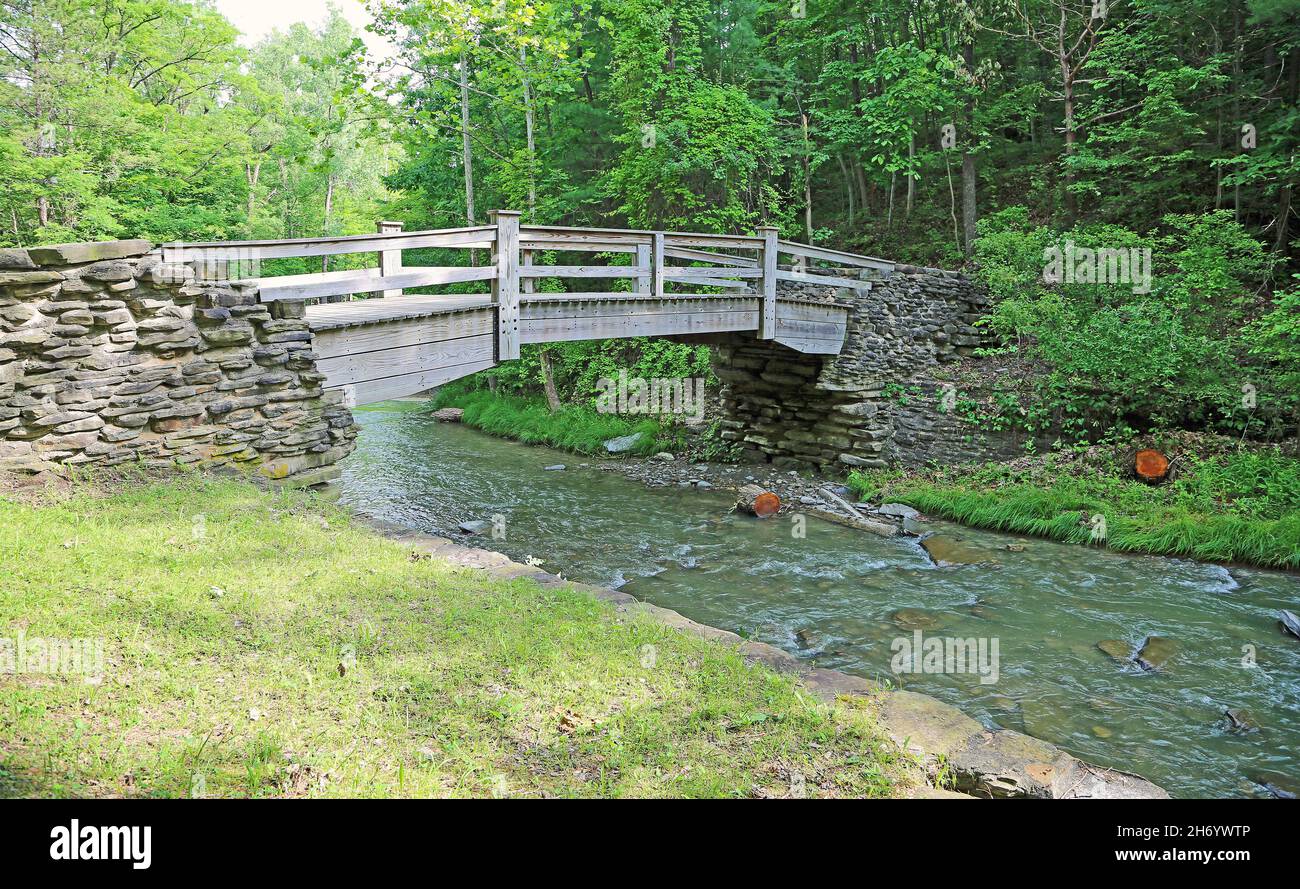 Stony stream in new hi-res stock photography and images - Alamy