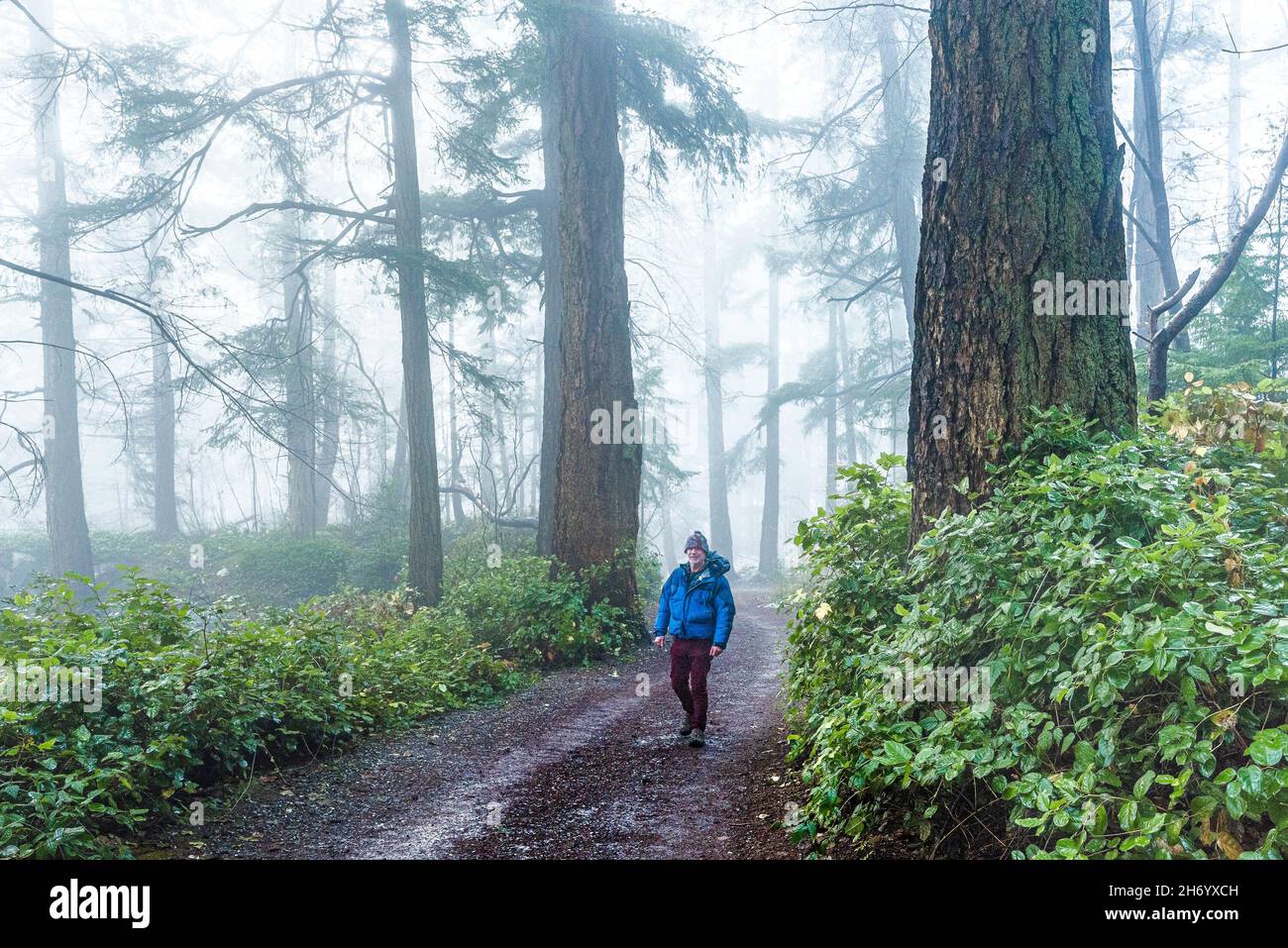 Man foggy forest hi-res stock photography and images - Alamy