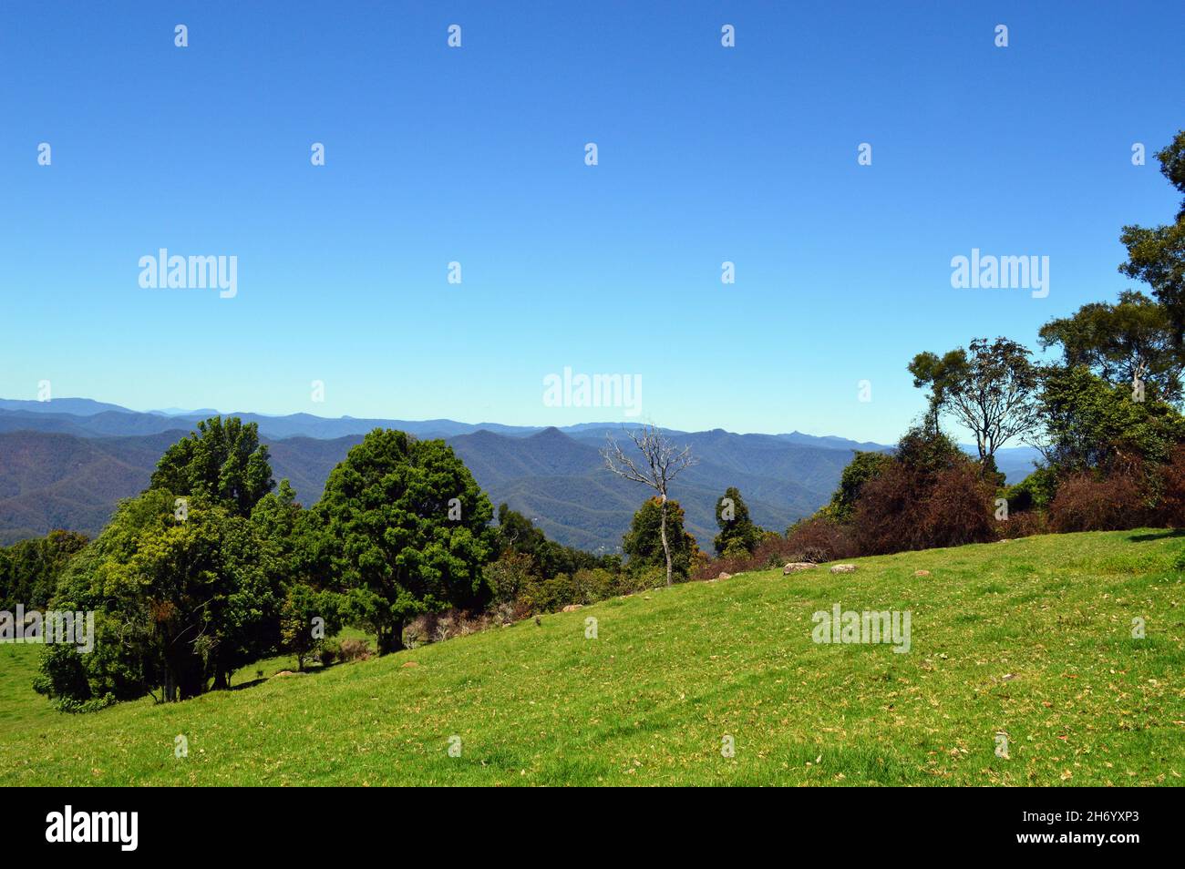 A view of the New England Tablelands from Griffiths Lookout, NSW Stock Photo