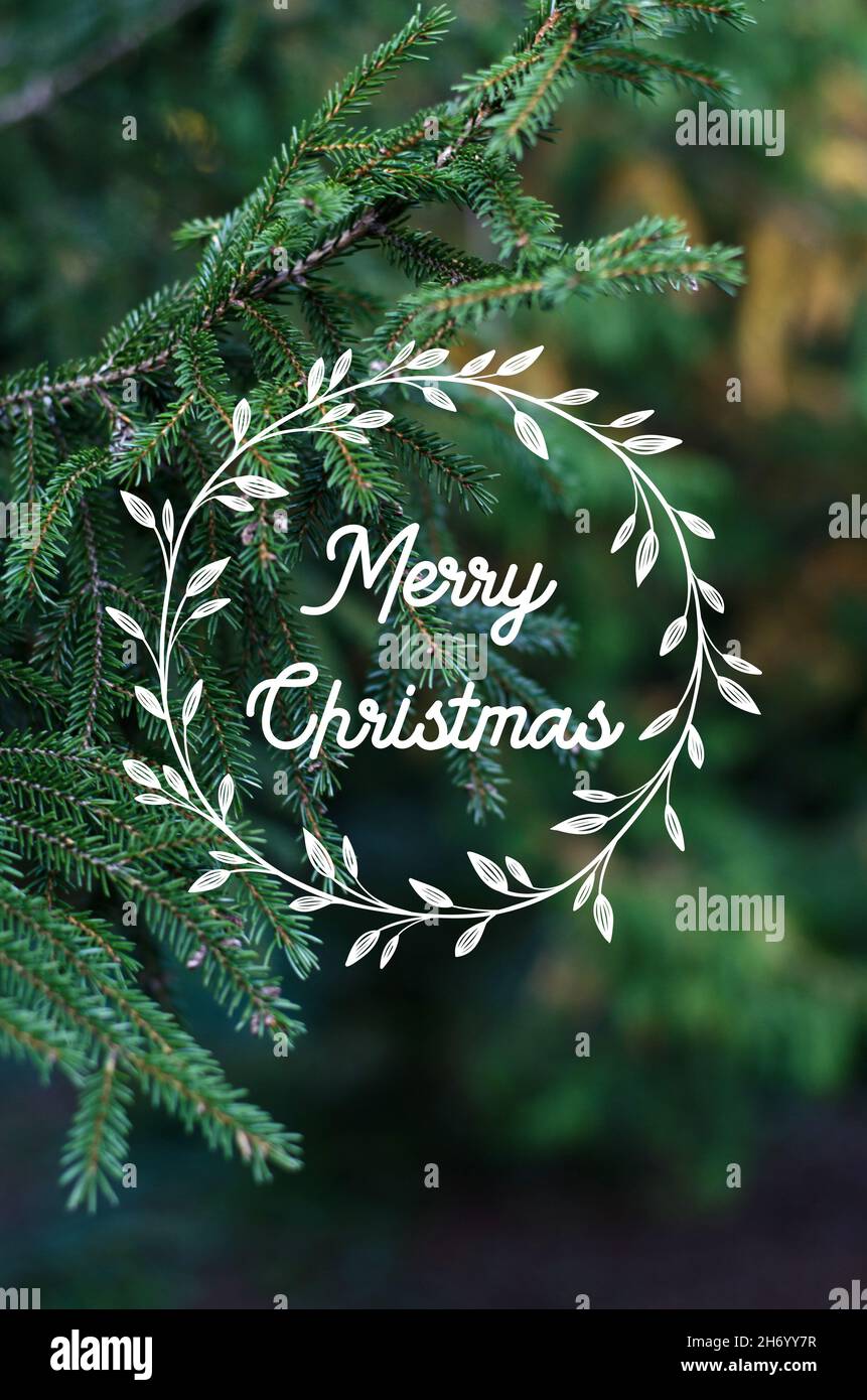 Natural christmas tree hi-res stock photography and images - Alamy