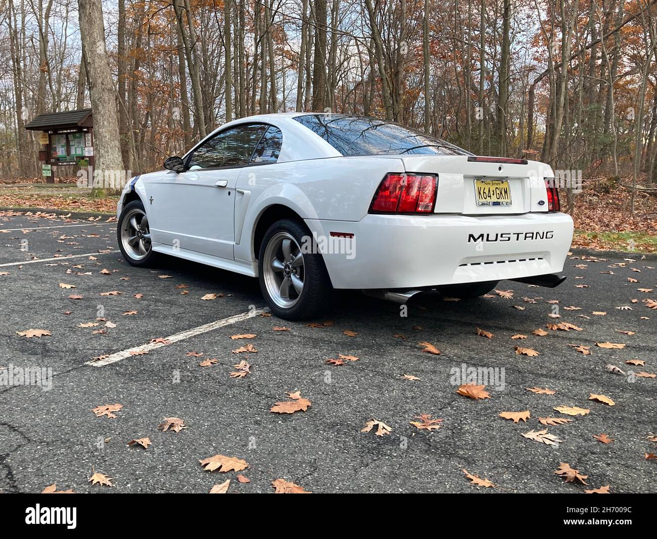 2003 white Ford Mustang in a leaf covered parking lot. Stock Photo