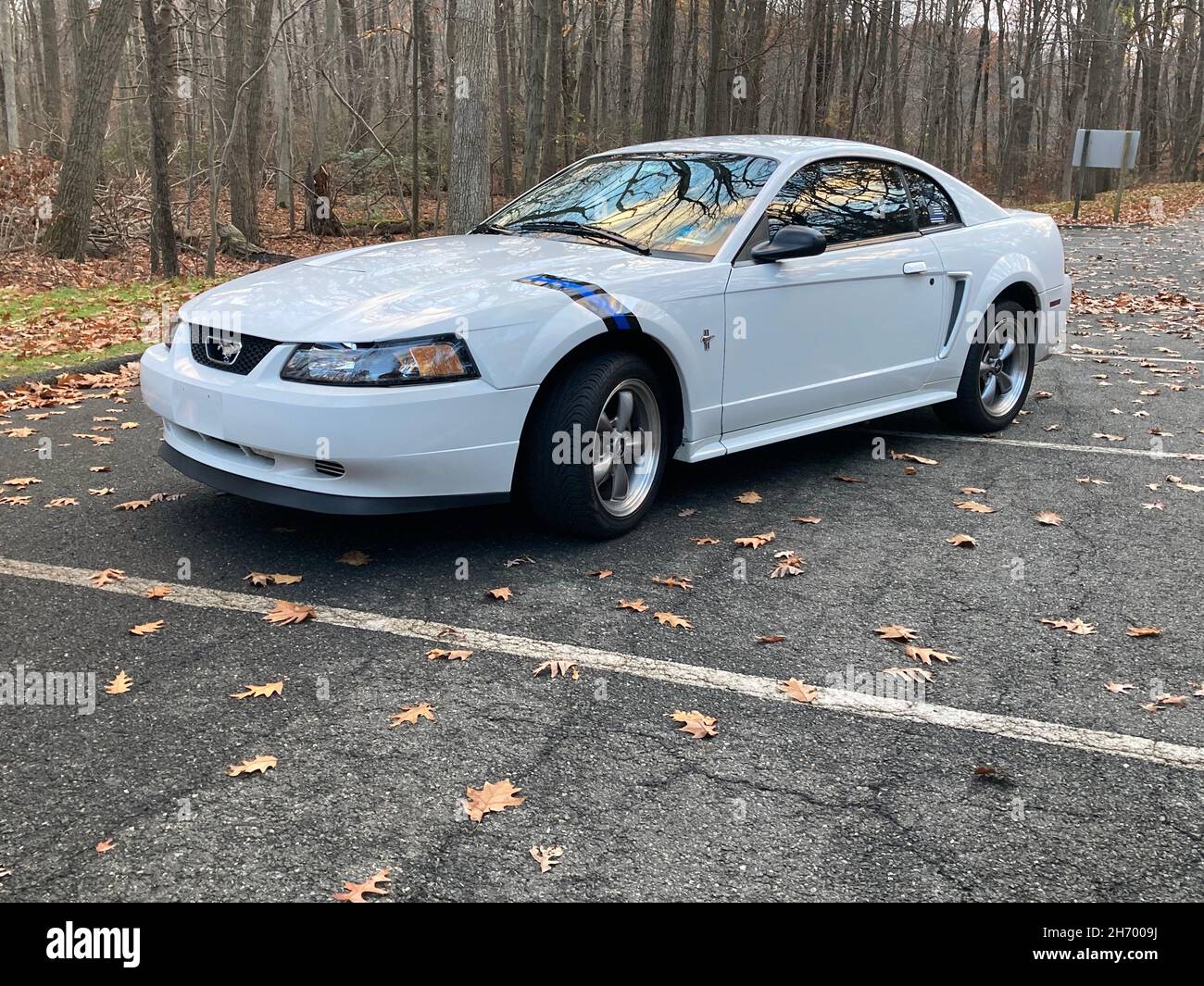 2003 white Ford Mustang in a leaf covered parking lot. Stock Photo